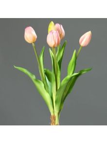 Tulpen Bund 5er rosa-pink