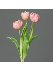 Tulpen gefüllt Bund 3er rosa-pink