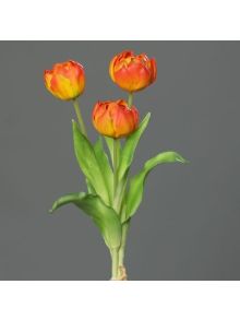 Tulpen gefüllt Bund 3er orange-rot