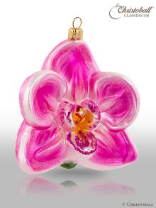 Weihnachtsform Orchidee Pink 1