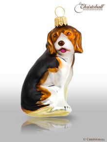 größere Formen Hund Beagle