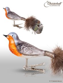 Vogel mit Clip Rotkehlchen