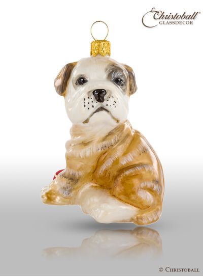 SALE - Weihnachtsform - Mostowski Collection – Englische Bulldogge /  Welpen, Hund
