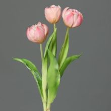 Tulpen gefüllt Bund 3er rosa-pink